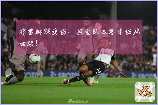 穆雷脚踝受伤，掘金队本赛季伤病回顾！