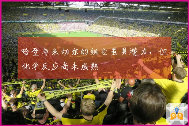 哈登与米切尔的组合虽具潜力，但化学反应尚未成熟