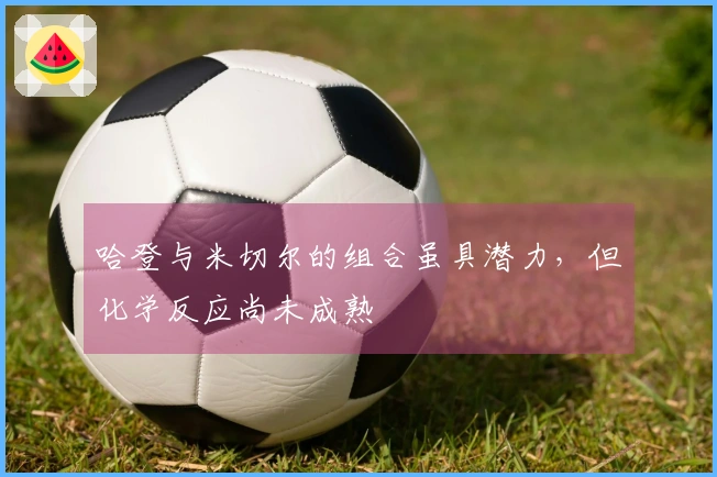 哈登与米切尔的组合虽具潜力，但化学反应尚未成熟